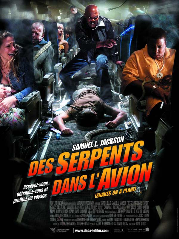 Des Serpents Dans L'avion [DVD] - flash vidéo