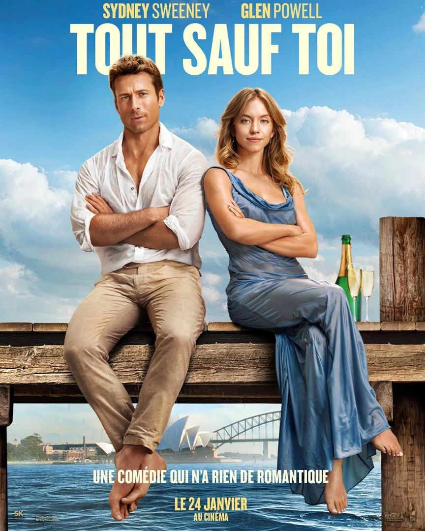 Tout sauf toi [DVD à la location] - flash vidéo