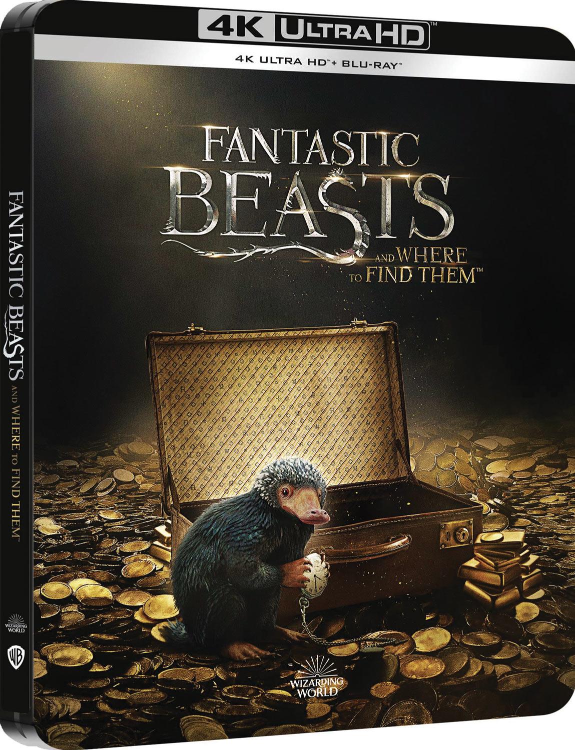 Les Animaux fantastiques [4K Ultra HD]