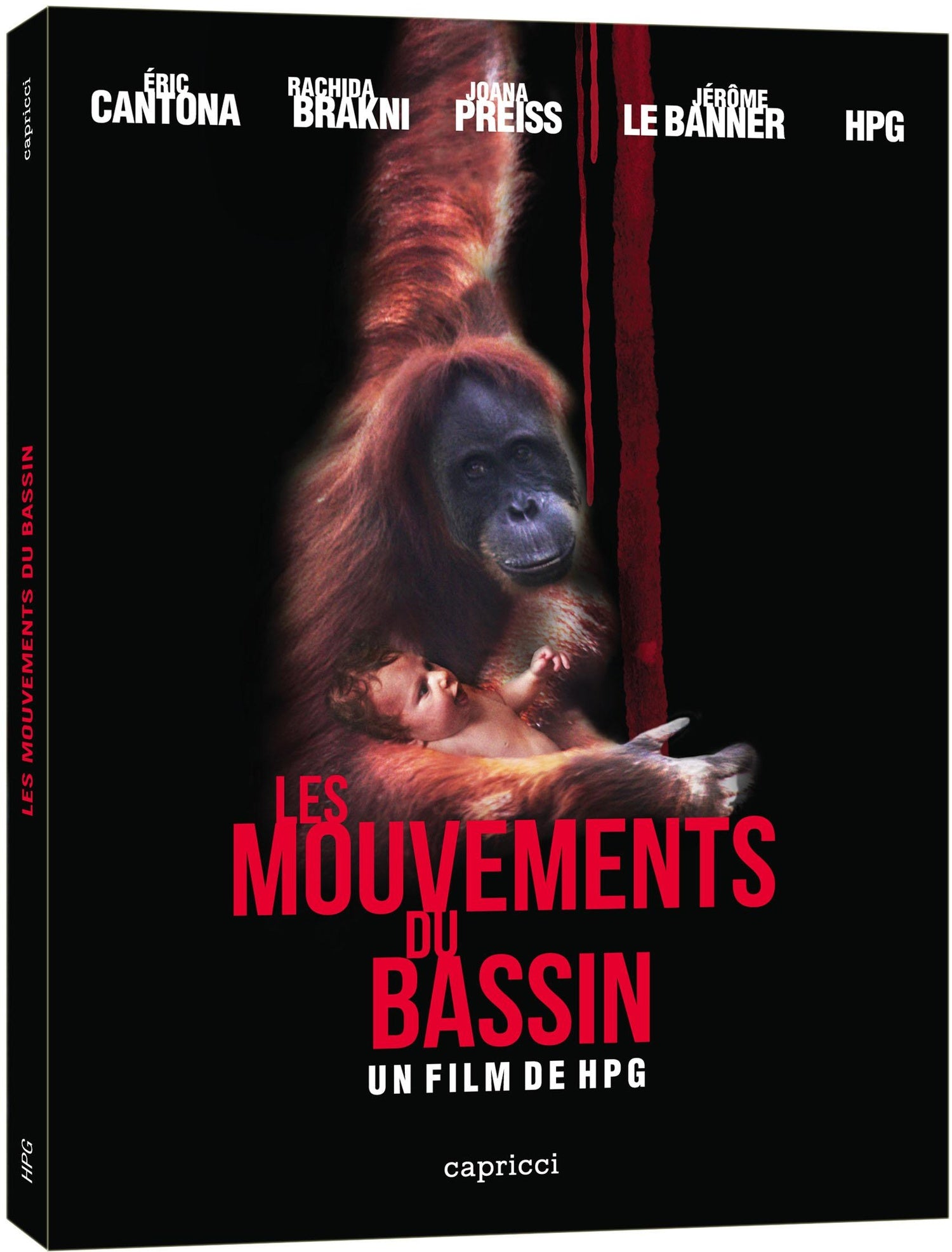 Les Mouvements du bassin [DVD]