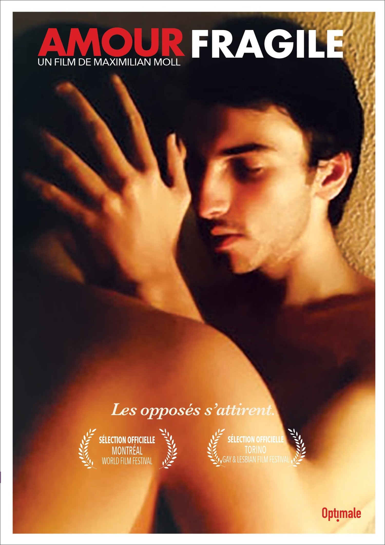 Amour fragile (Amor complicado) [DVD]