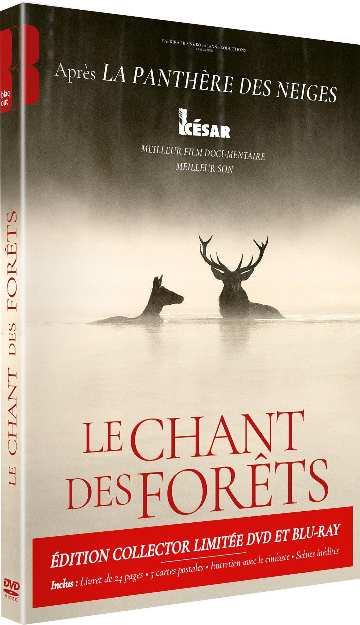 Le Chant des forêts [Blu-ray]