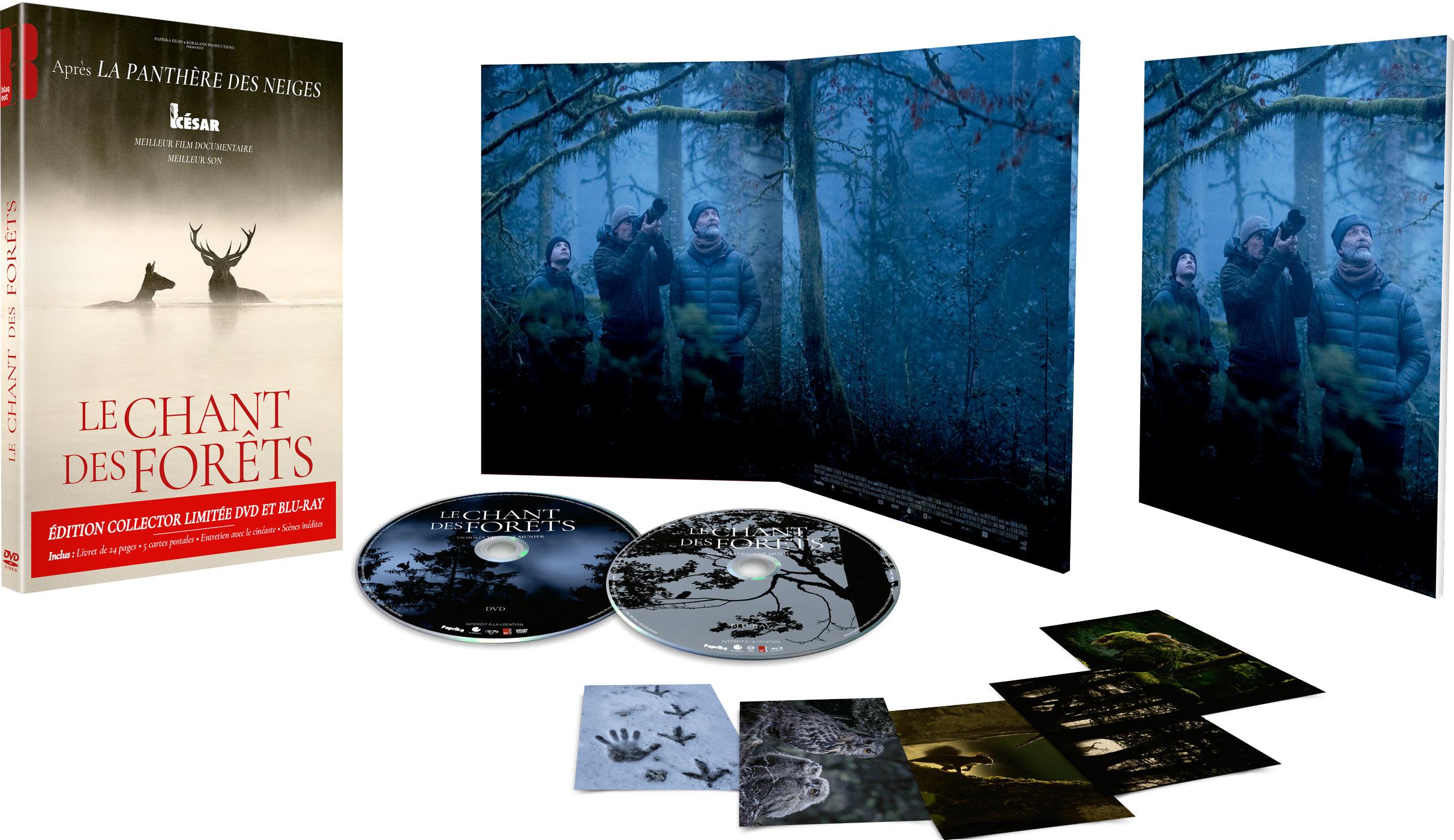 Le Chant des forêts [Blu-ray]