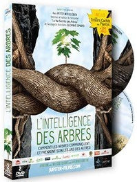 L'Intelligence des arbres [DVD]