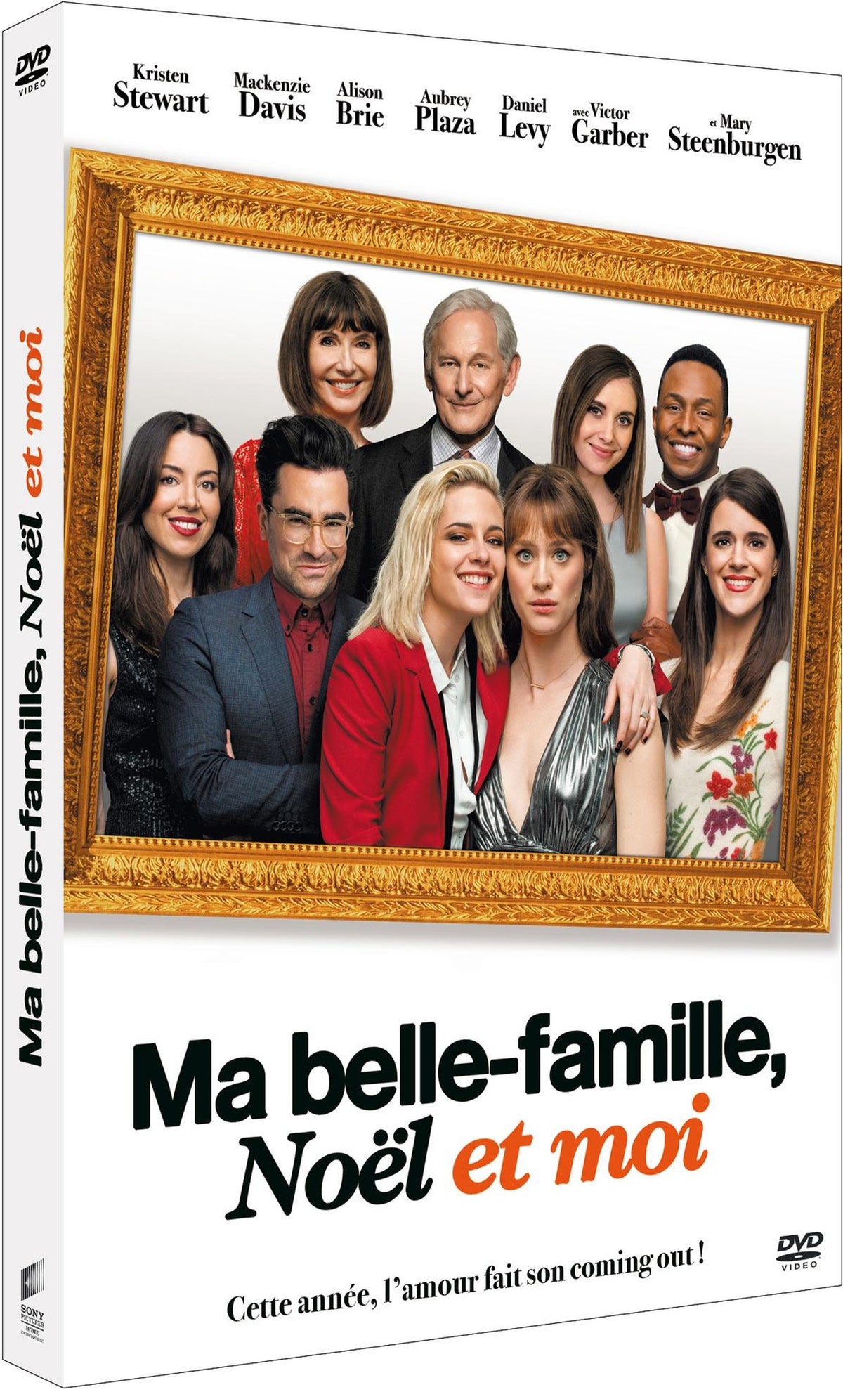 Ma belle-famille, Noël et moi [DVD]