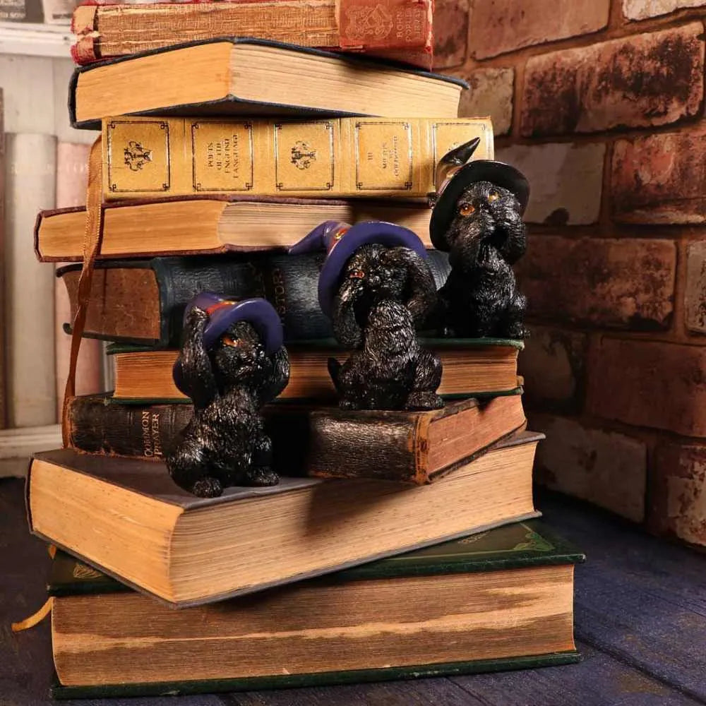 Three Wise Familiars - Figurines de chats noirs Ne pas voir, ne pas entendre, ne pas dire le Mal 9.2cm - flash vidéo