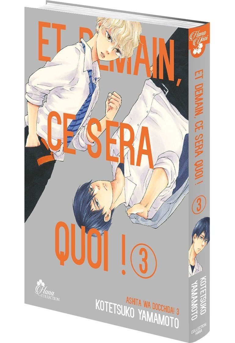 Et demain ce sera quoi ! - Tome 03 - Livre (Manga) - Yaoi - Hana Collection