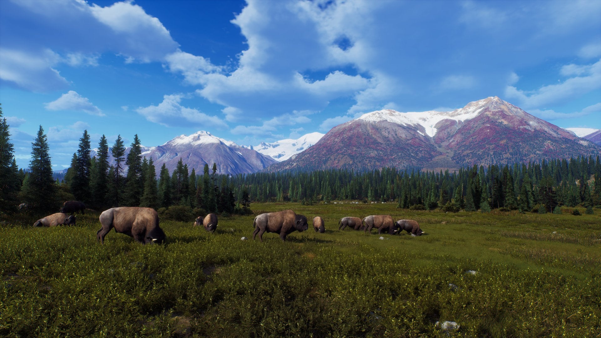 Way of the Hunter - Wild Expeditions - flash vidéo