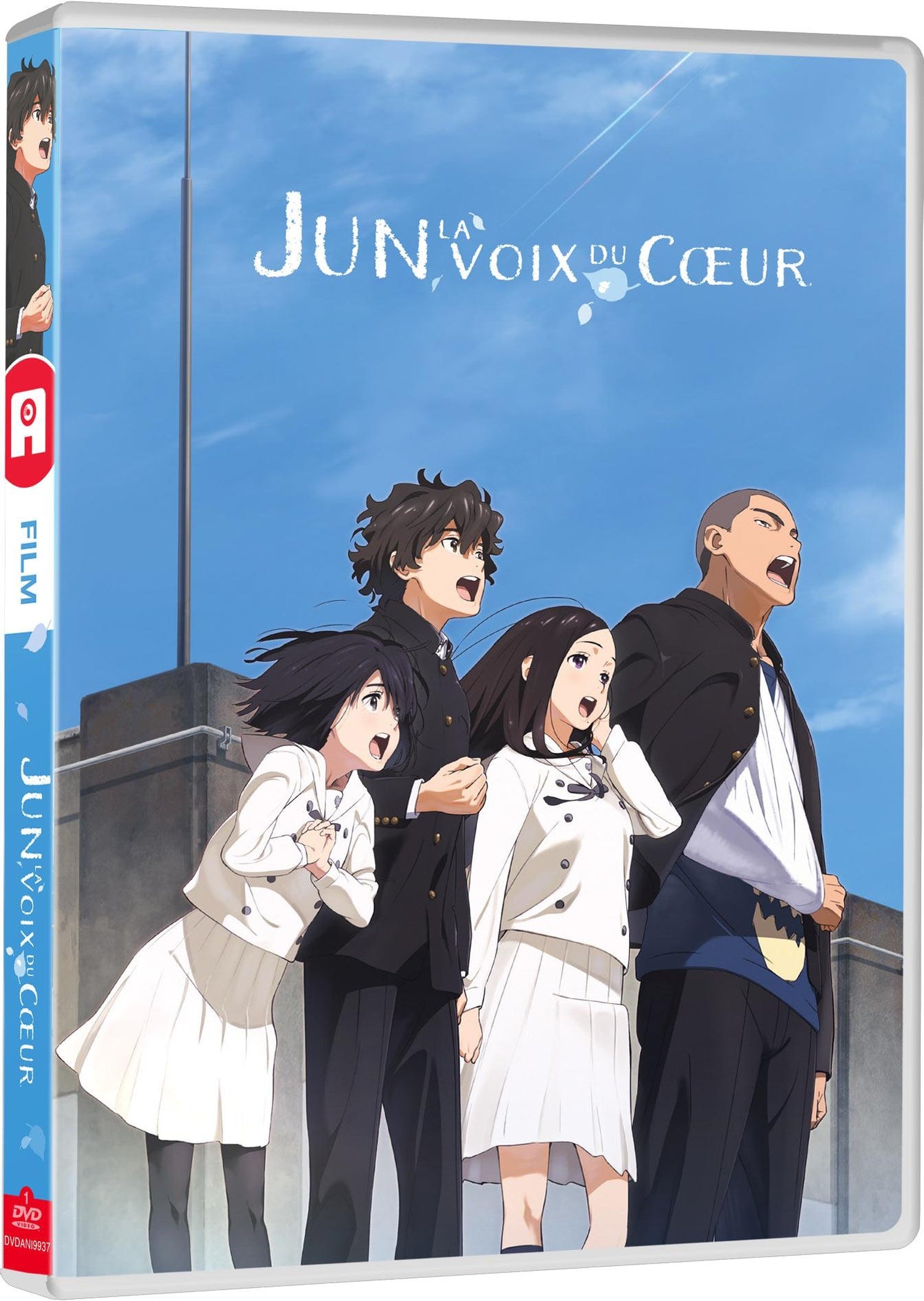 Jun, la voix du coeur [DVD]