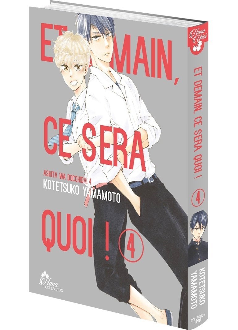 Et demain ce sera quoi ! - Tome 04 - Livre (Manga) - Yaoi - Hana Collection