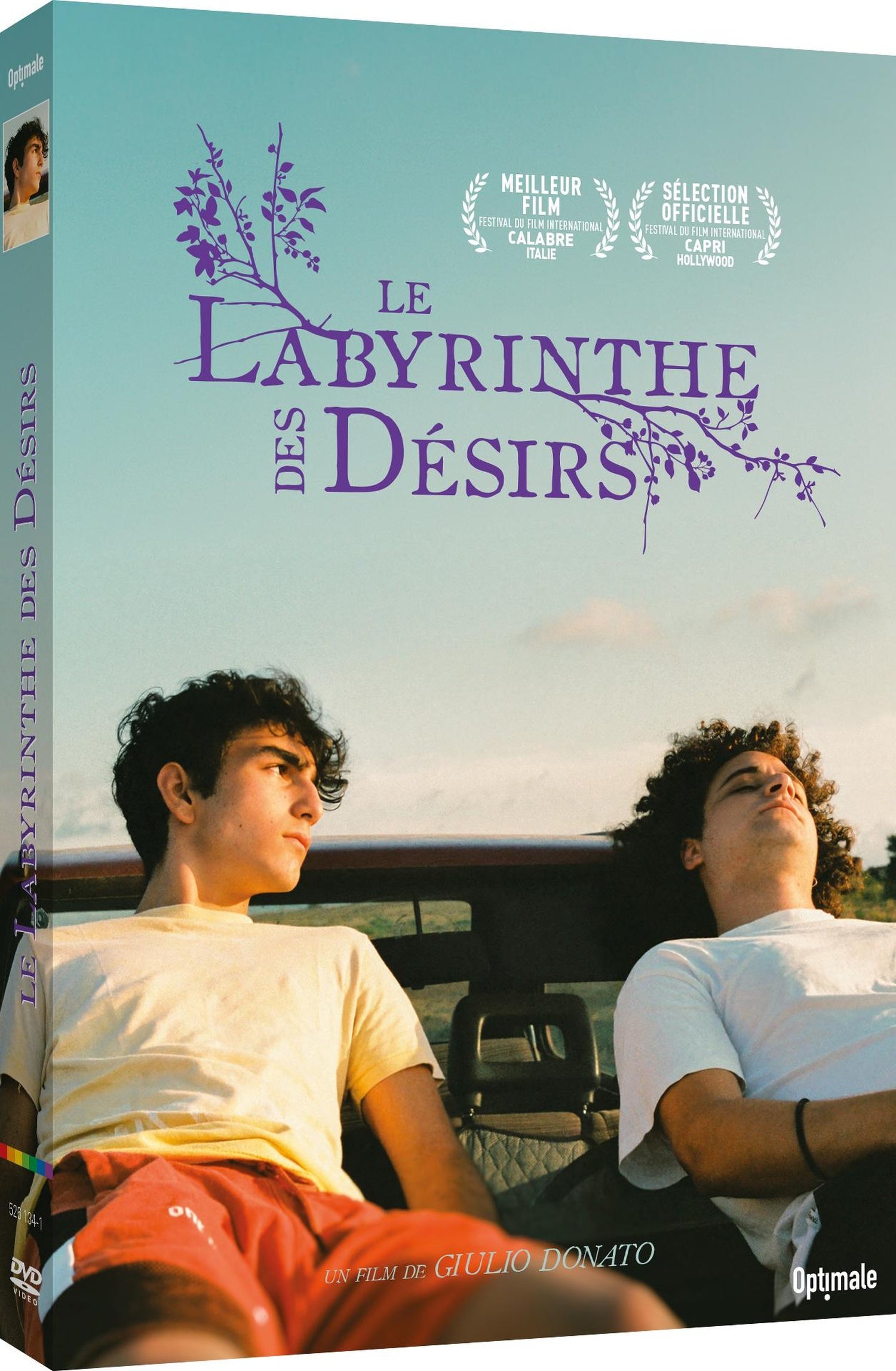 Le Labyrinthe des désirs [DVD]