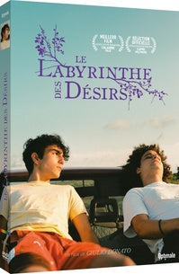 Le Labyrinthe des désirs [DVD]