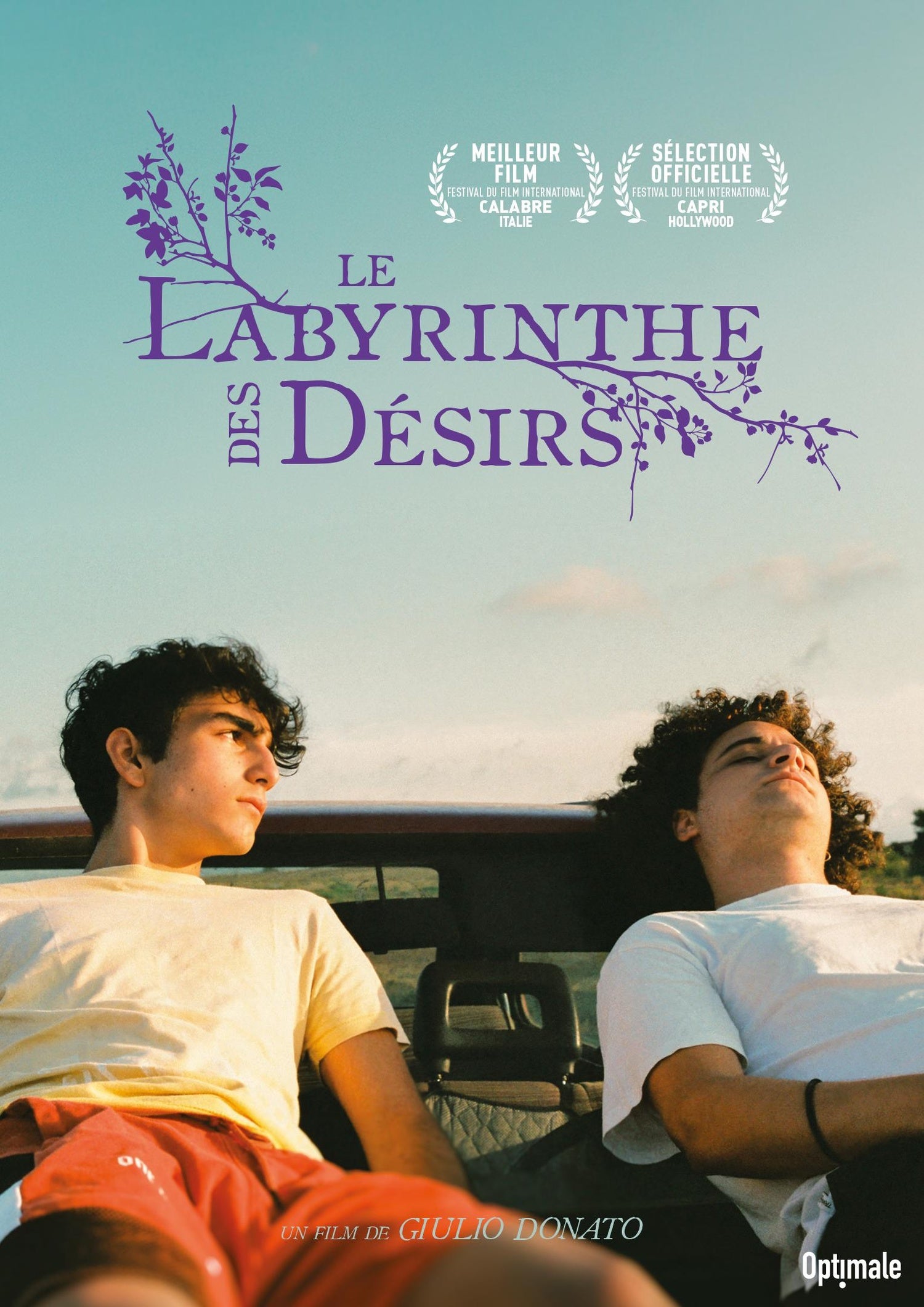Le Labyrinthe des désirs [DVD]
