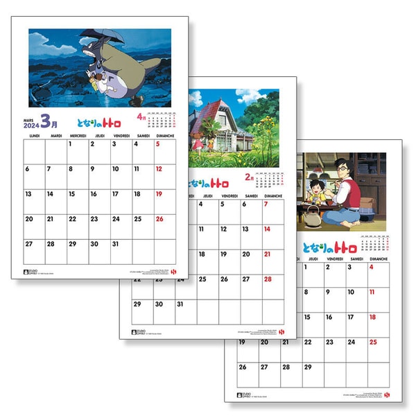 Ghibli - Mon Voisin Totoro - Calendrier Spécial Totoro 2024 - flash vidéo