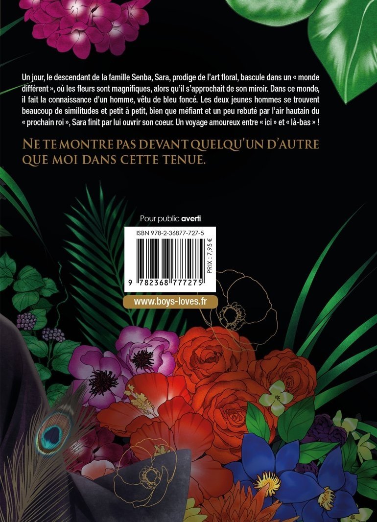 De l'autre côté du miroir - Livre (Manga) - Yaoi - Hana Collection