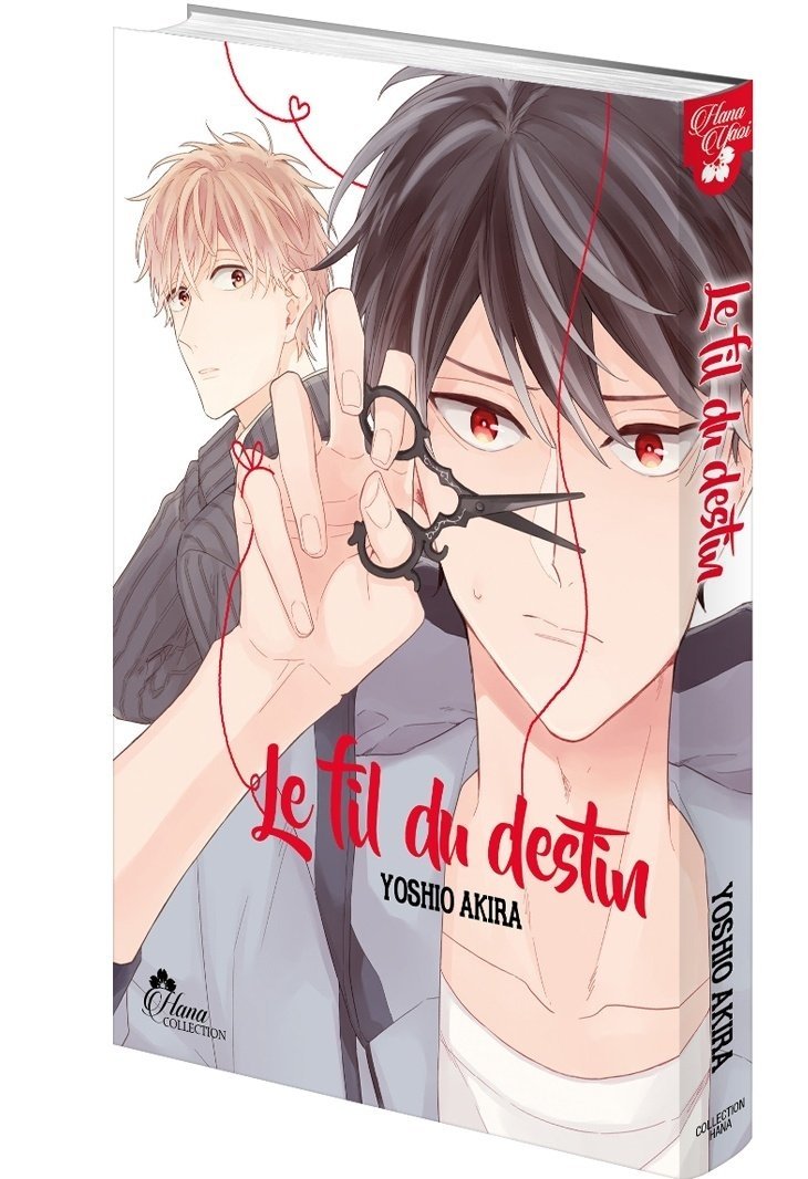 Le fil du destin - Livre (Manga) - Yaoi - Hana Collection