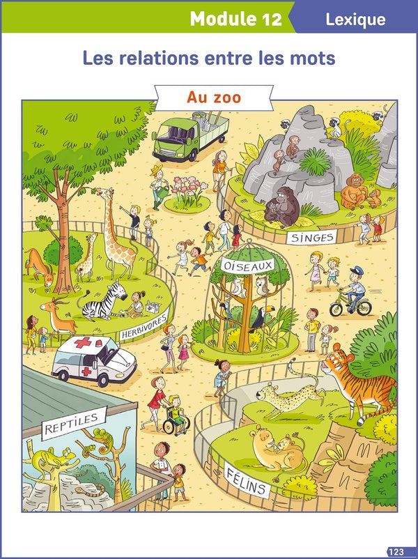 Français explicite : les relations entre les mots ; au zoo ; module 12 ; lexique