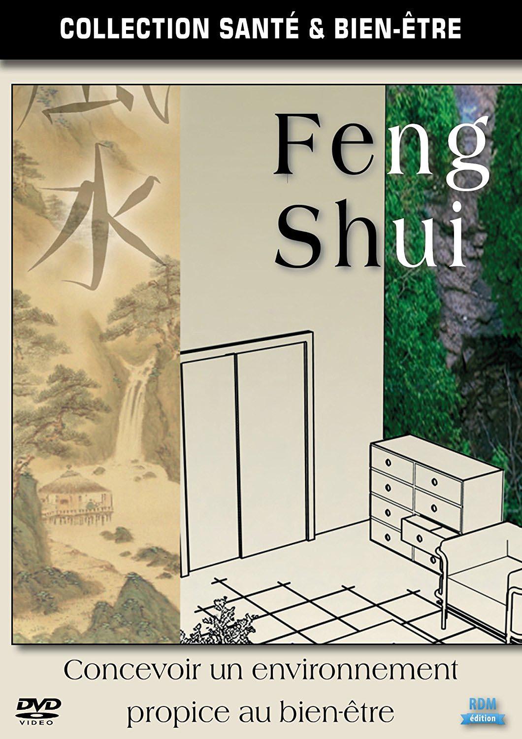 Feng Shui [DVD]