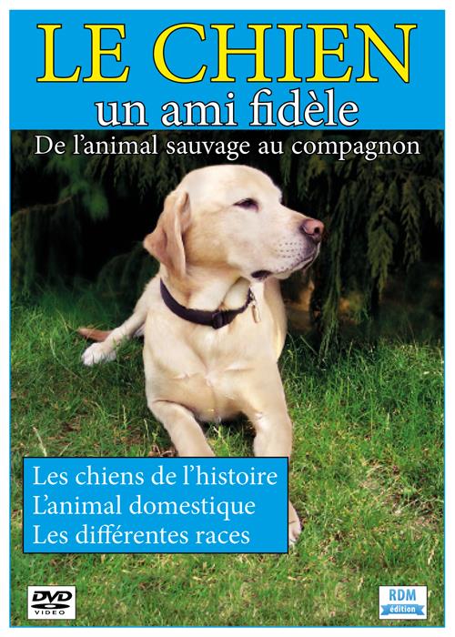 Le chien, un ami fidèle : de l'animal sauvage au compagnon [DVD]