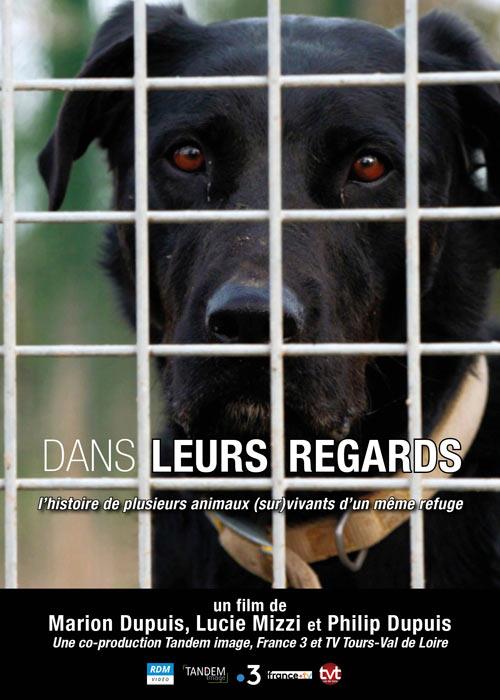 Dans leurs regards - L'Histoire de plusieurs animaux (sur)vivants d'un même refuge [DVD]