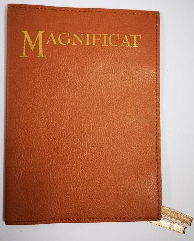 Couverture simili  cuir havane pf