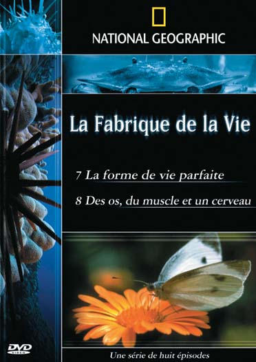 National Geographic - La fabrique de la vie - Vol. 4 [DVD]