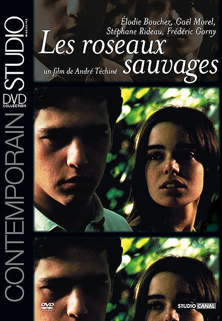 Les Roseaux sauvages [DVD]