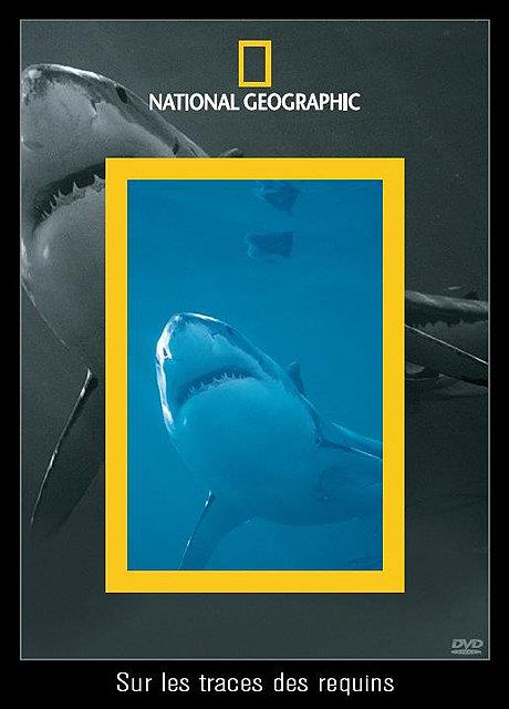 National Geographic - Sur les traces des requins [DVD]