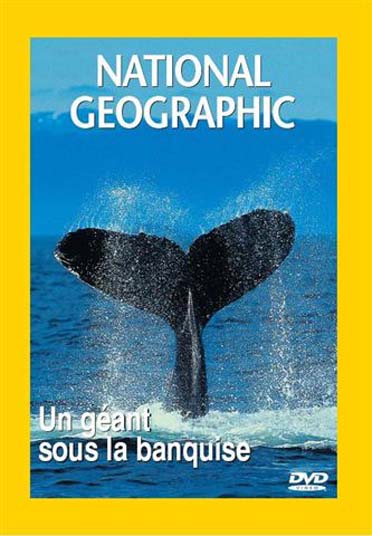 National Geographic - Un géant sous la banquise [DVD]
