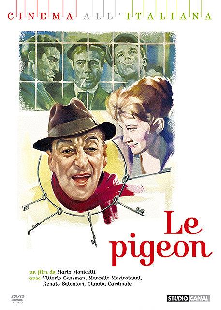 Le Pigeon [DVD] - flash vidéo