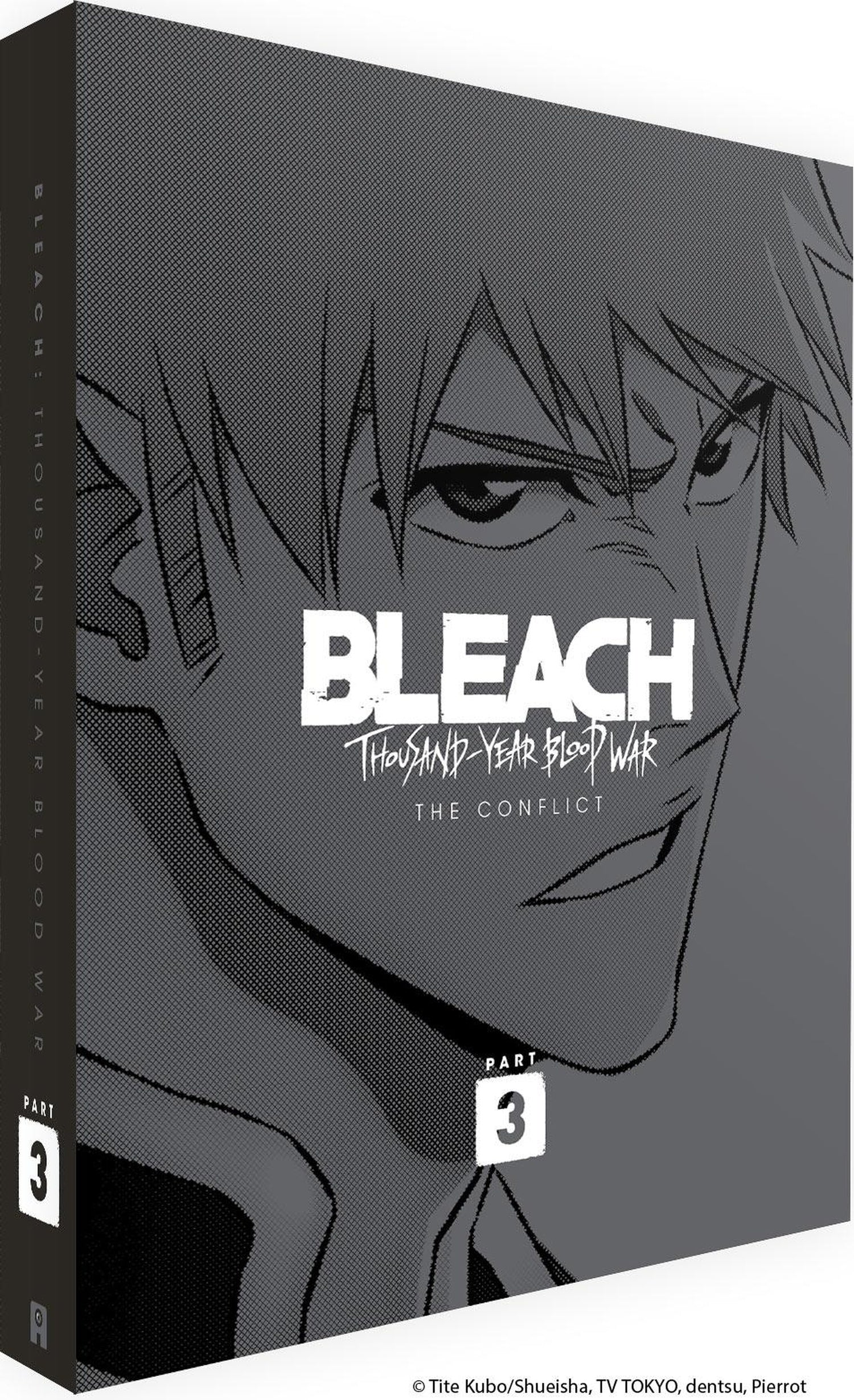 Bleach : Thousand-Year Blood War - Partie 3 [DVD]