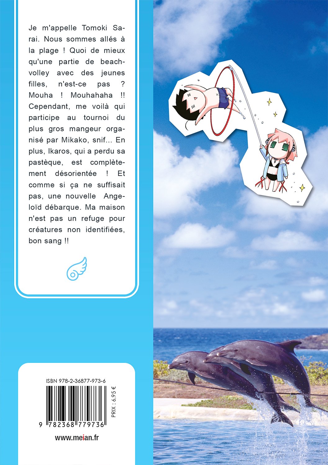Tombée du Ciel - Tome 13 - Livre (Manga)