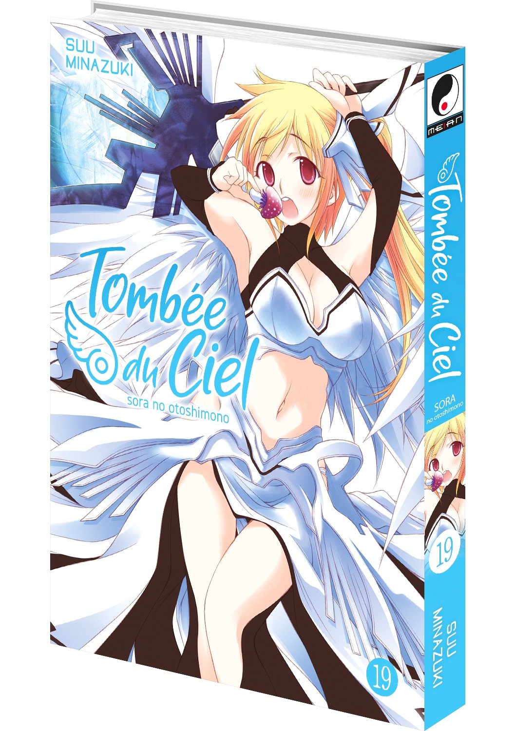 Tombée du Ciel - Tome 19 - Livre (Manga)
