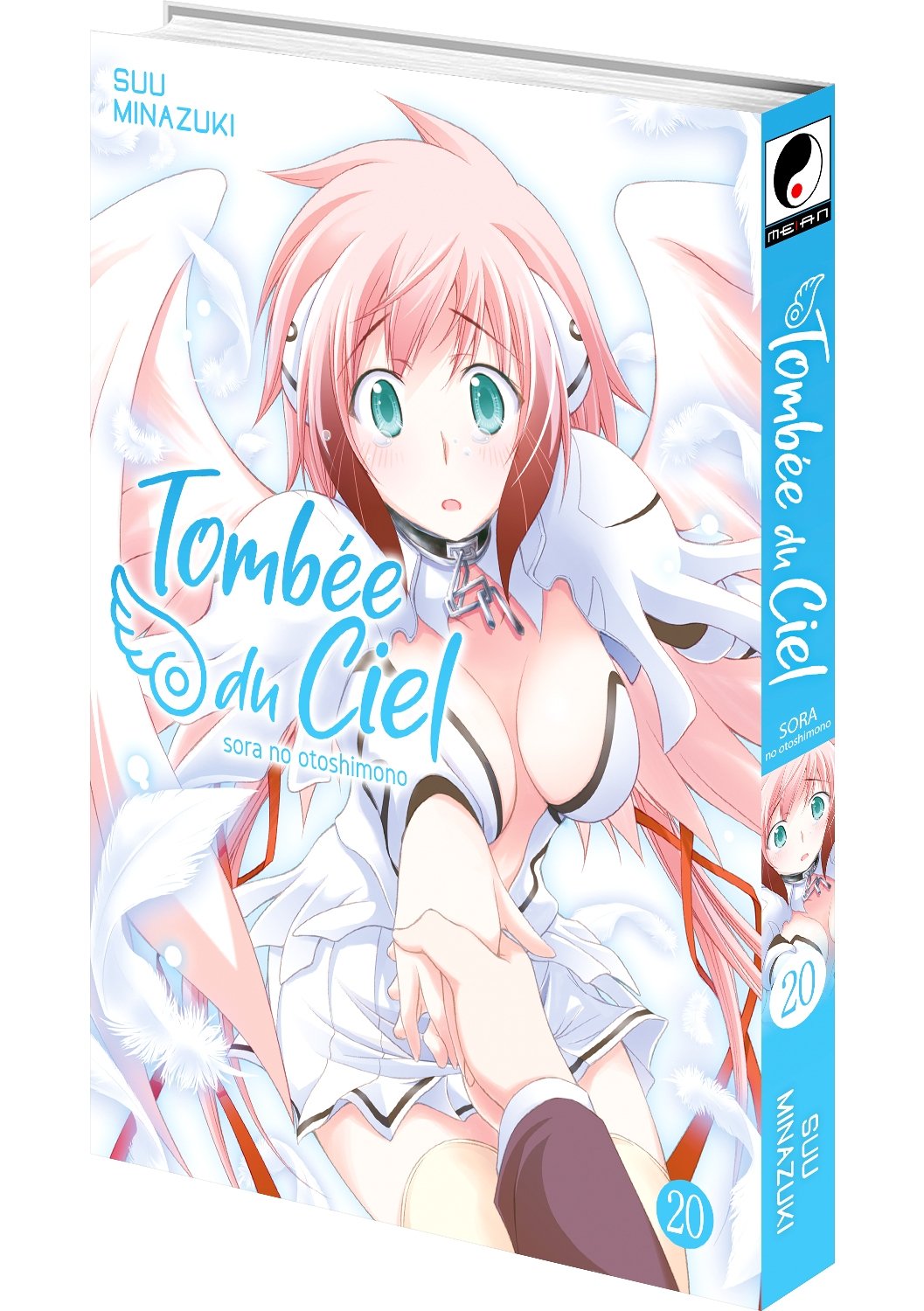 Tombée du Ciel - Tome 20 - Livre (Manga)