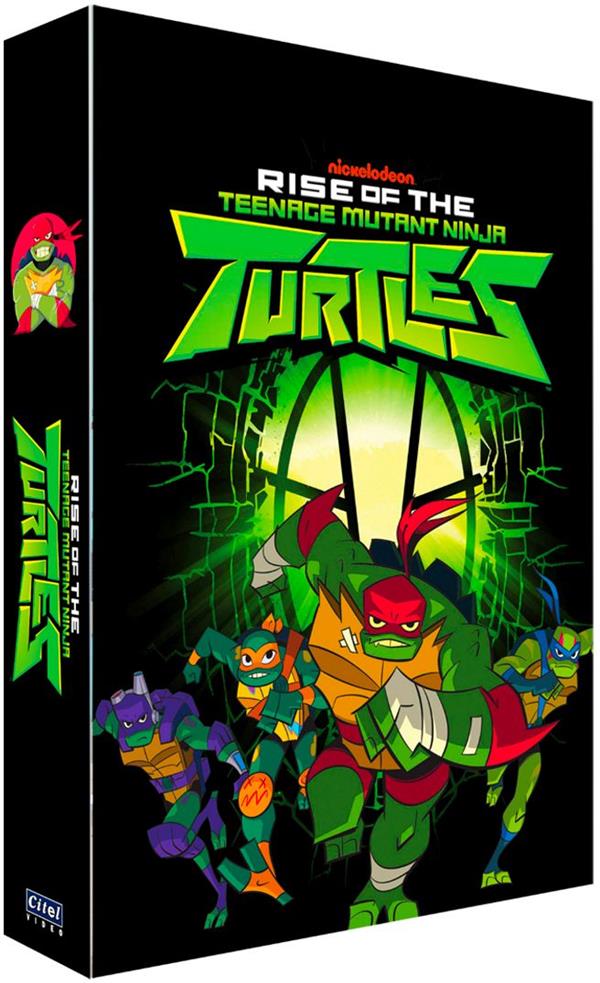 Le Destin des Tortues Ninja - Saison 1 - Partie 1 [DVD]