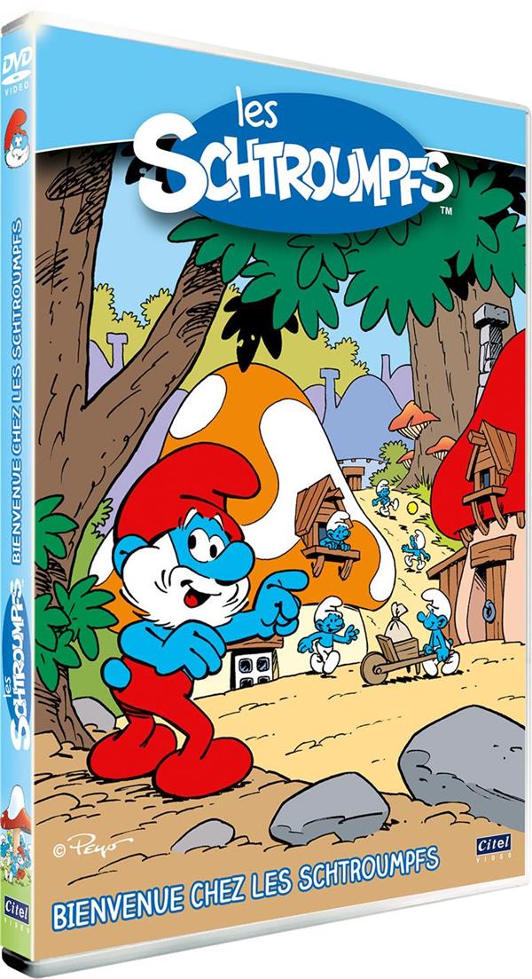 Les Schtroumpfs - Coffret 2 DVD : Bienvenue chez les Schtroumpfs [DVD]