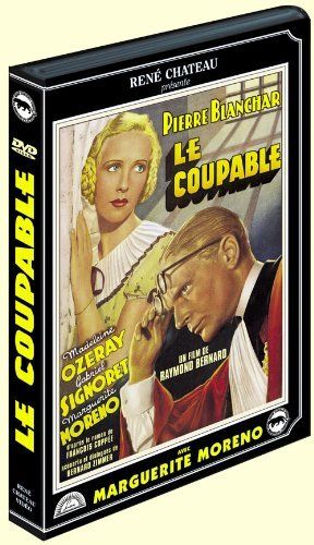 Le Coupable [DVD]