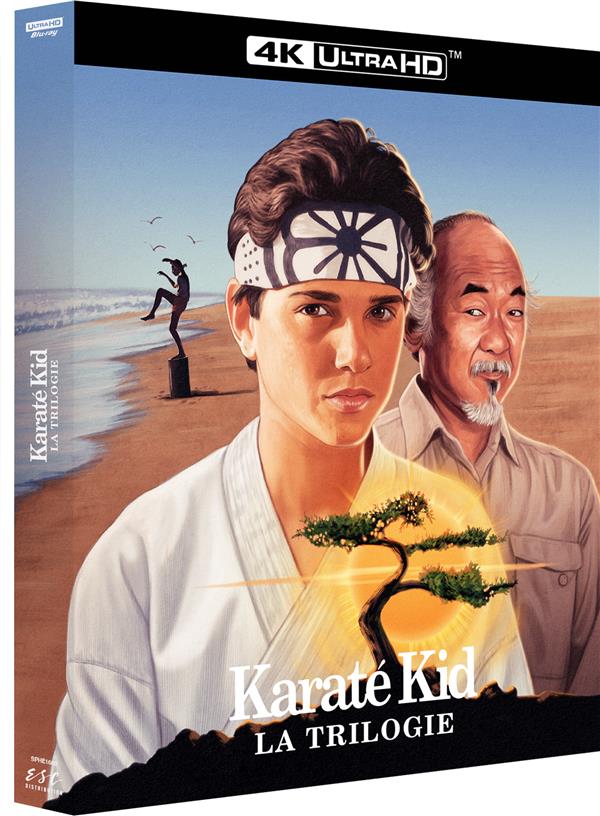 Karaté Kid - La Trilogie [4K Ultra HD]