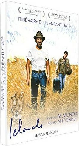 Itinéraire d'un enfant gâté [DVD] - flash vidéo