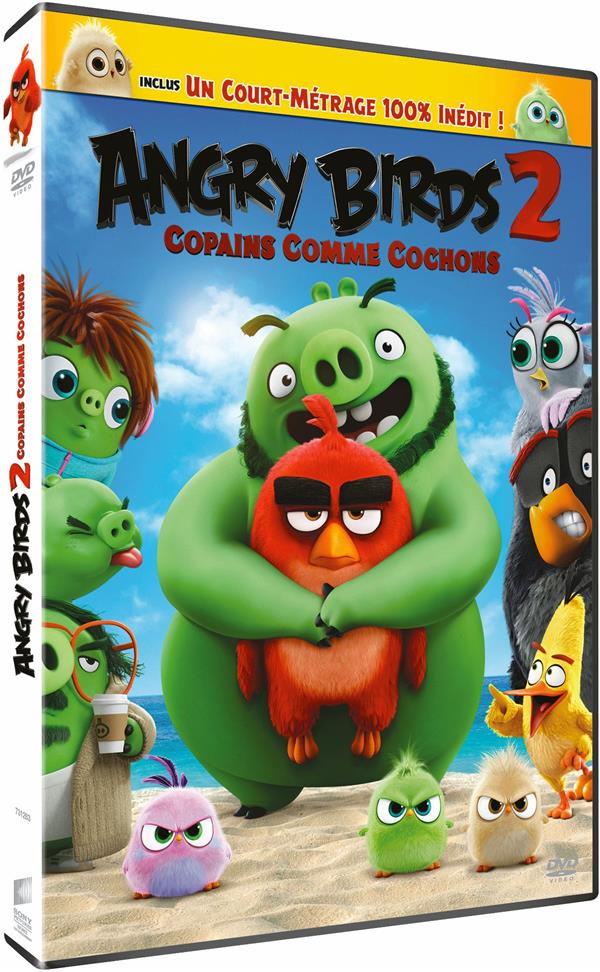 Angry Birds 2 : Copains comme cochons [DVD]