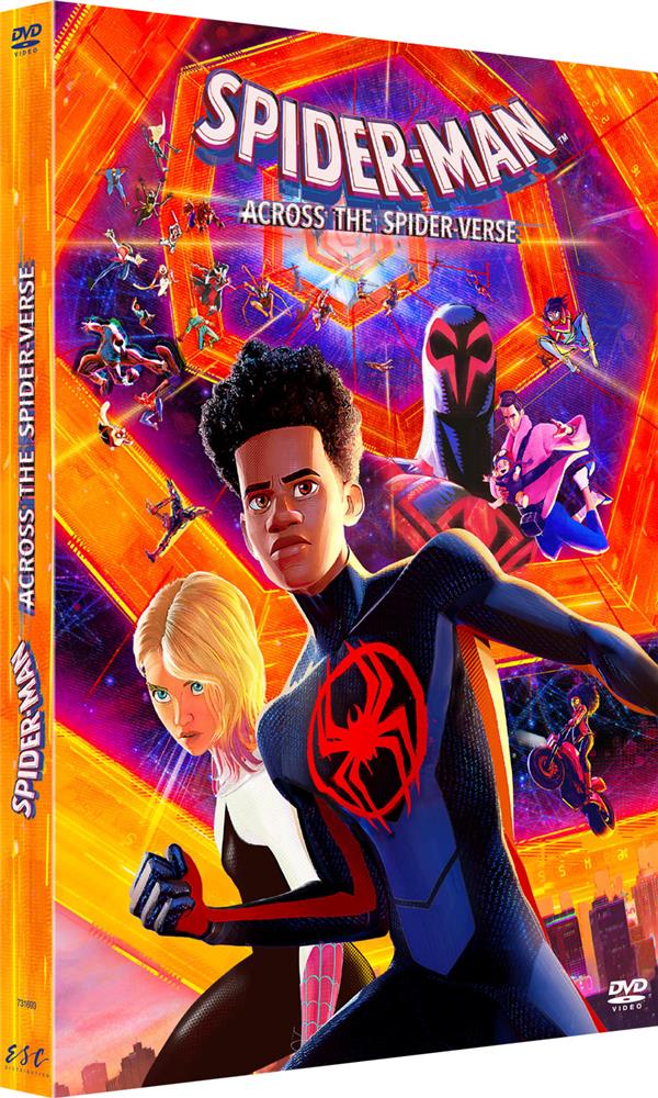 Spider-Man : Across the Spider-Verse [DVD] - flash vidéo