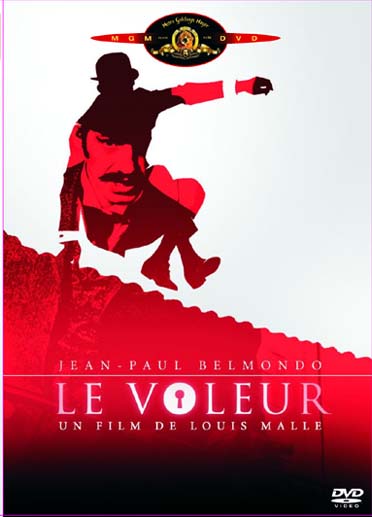Le Voleur [DVD]