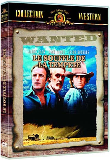 Le Souffle de la tempête [DVD]