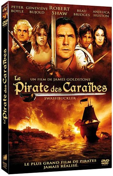 Le Pirate des Caraïbes [DVD] - flash vidéo