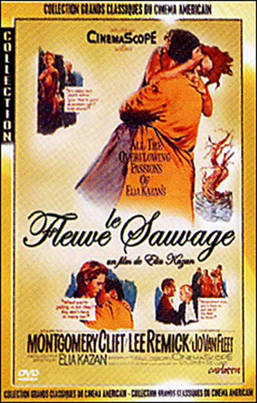 Le Fleuve sauvage [DVD]