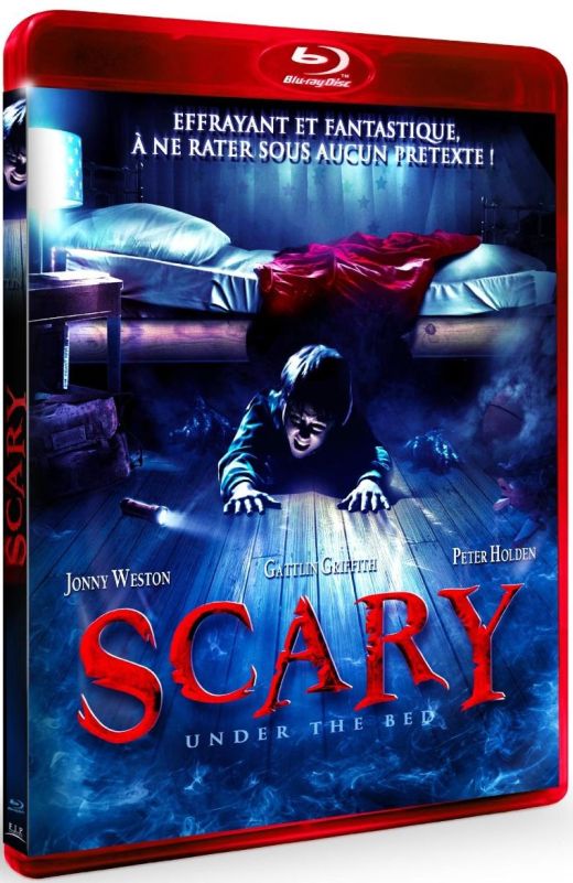Scary [Blu-ray] - flash vidéo
