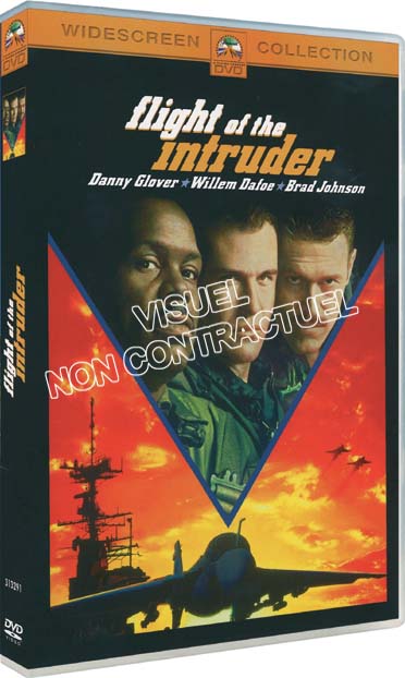 Flight of the Intruder [DVD]