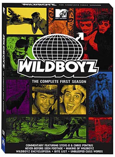 WildBoyz - L'intégrale de la Saison 1 [DVD]