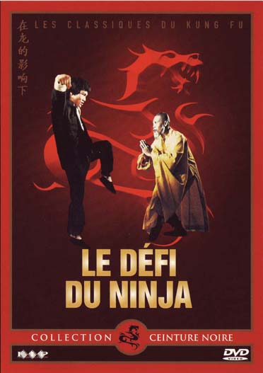 Le Défi du Ninja [DVD] - flash vidéo