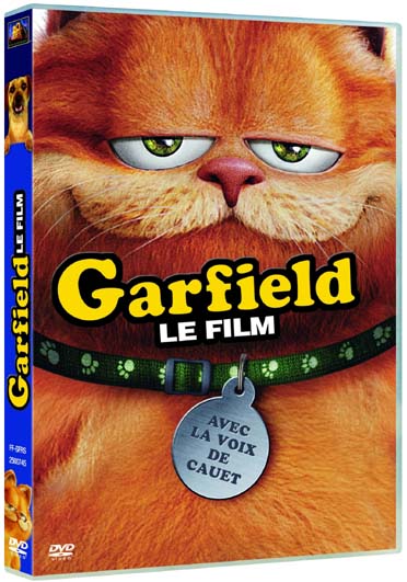 Garfield : Le Film [DVD] - flash vidéo